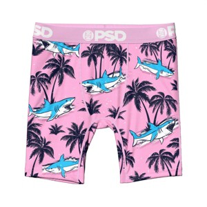 PSD Boys' 2pk Surf & Turf Boxer Brief Underwear - Multicolored M
