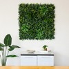 Nearly Natural 40-in x 40-in UV Resistant Andean Cloud Forest Artificial Living Wall Panel (Indoor/Outdoor) - 4 of 4