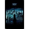 Trends International DC Comics - The Dark Knight - Batman View Of The City Unframed Wall Poster Prints - 4 of 4