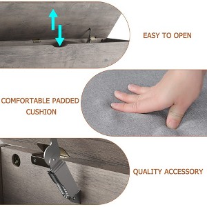 Shoe Storage Bench with Cushion - 1 of 4