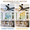 Bella Depot 52" Black Farmhouse Caged Ceiling Fan with Light - 3 of 4