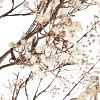 Indoor/Outdoor Electric Lighted Faux Gypsophila Twig Tree, 6' Tall - 4 of 4