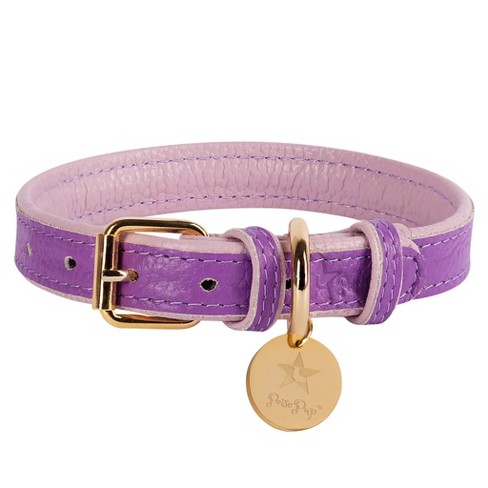 Poisepup Collar Lavish Lavander - Small : Target