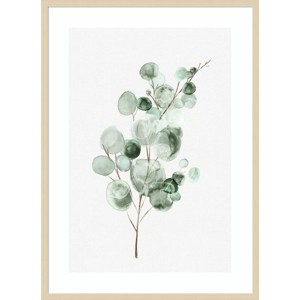 30" x 41" Tender Sprout II Eucalyptus by Eva Watts Wood Framed Wall Art Print - Amanti Art: Botanical Lithograph, Vertical Layout - 1 of 4