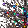 Nearly Natural 5-ft Frosted Berry Twig Artificial Christmas Tree with 200 Multicolored Gum Ball LED Lights and 386 Bendable Branches - 3 of 4