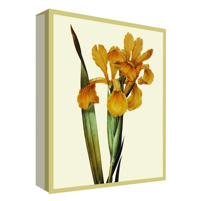 11" x 14" Flower Nature I Decorative Wall Art - PTM Images