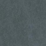 navy blue welcome/grey feather