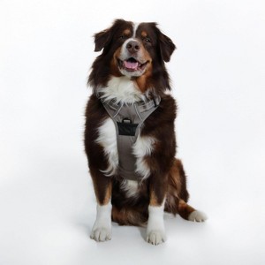 Venture Paw Pull Control Dog Harness - Dried Sage - 1 of 4
