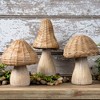 Melrose Wicker Mushroom Decor (Set of 3) - 2 of 4
