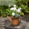 Gardenised 1 Gallon Galvanized Metal Watering Can with Removable Long Spout & Sprinkler Head for Indoor & Outdoor Use - 4 of 4