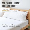 Fairpeak Fairpeak Pillow Protectors, Body (20x54), 2 Pack, Zippered, Oeko-TEX, Hotel-Quality, Breathable, Machine  Washable - 3 of 4