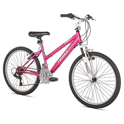 kent terra bike 24