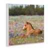Stupell Industries Foal Horse Lounging Flower Meadow, 12" x 12" - 3 of 4