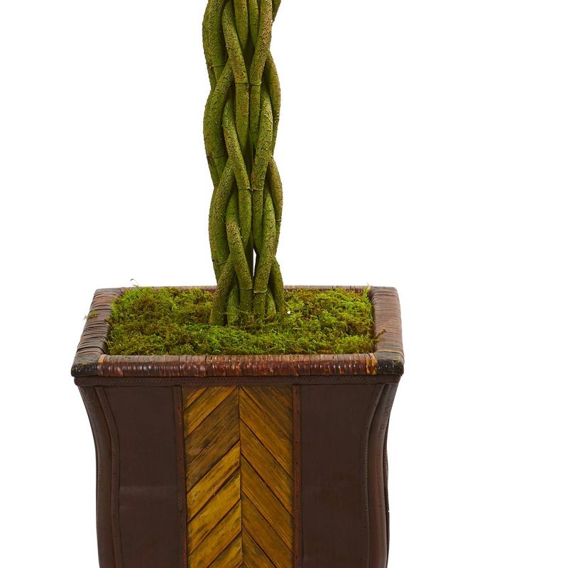 6&#39; Artificial Braided Ficus Tree in Decorative Planter Green - Nearly Natural, 4 of 5