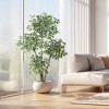 Garvee Artificial Ficus Tree,Tall Faux Floor Plant with White Tall Planter-Fake Plants for Home Indoor with 4 Natural Trunks & White-Edged Leaves - 3 of 4