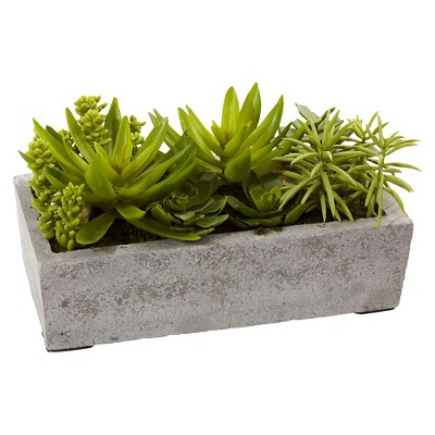 Decorative Outdoor Tabletop Succulent Ensemble in Cement Planter