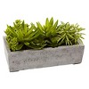 Nearly Natural Succulent Garden with Concrete Planter - image 3 of 3
