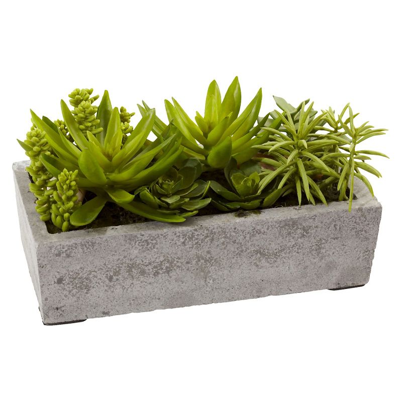 Nearly Natural Succulent Garden with Concrete Planter, 4 of 7