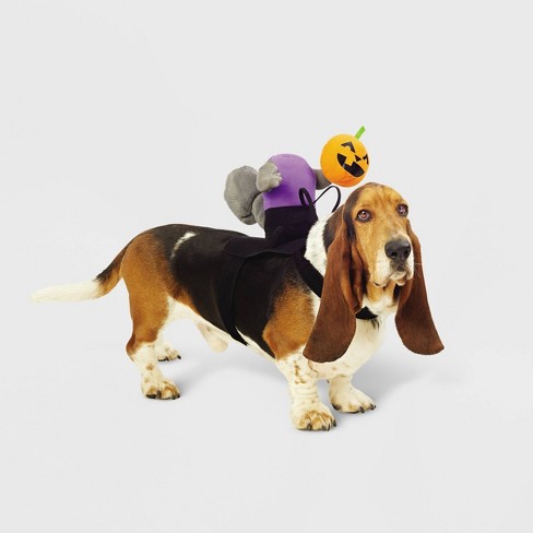headless horseman dog costume