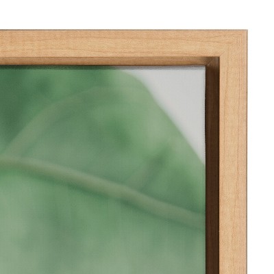 Natural Green Leaf Study Framed Canvas Wall Art, 23x33
