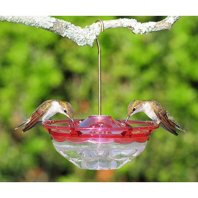 Red and Clear Plastic Hanging Hummingbird Feeder with Perch