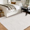 Fluffy Shaggy Rug: Tie-Dyed Furry Non-Shedding Plush Rug – Fuzzy Accent Carpet for Living Room, Bedroom | Soft Feet-Friendly Home Decor Floor Cover - 4 of 4