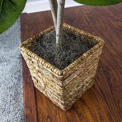 Eternal Green 39" Faux Fig Tree in Dark Wood Basket