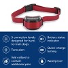 PetSafe Stubborn Dog Stay and Play Adjustable Wireless Fence Receiver Collar - Black - 3 of 4