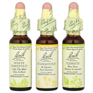 Bach Original Flower Remedies, Focus Kit, Clarity of Mind, 3 Droppers, 0.35 fl oz (10 ml) Each - 1 of 4
