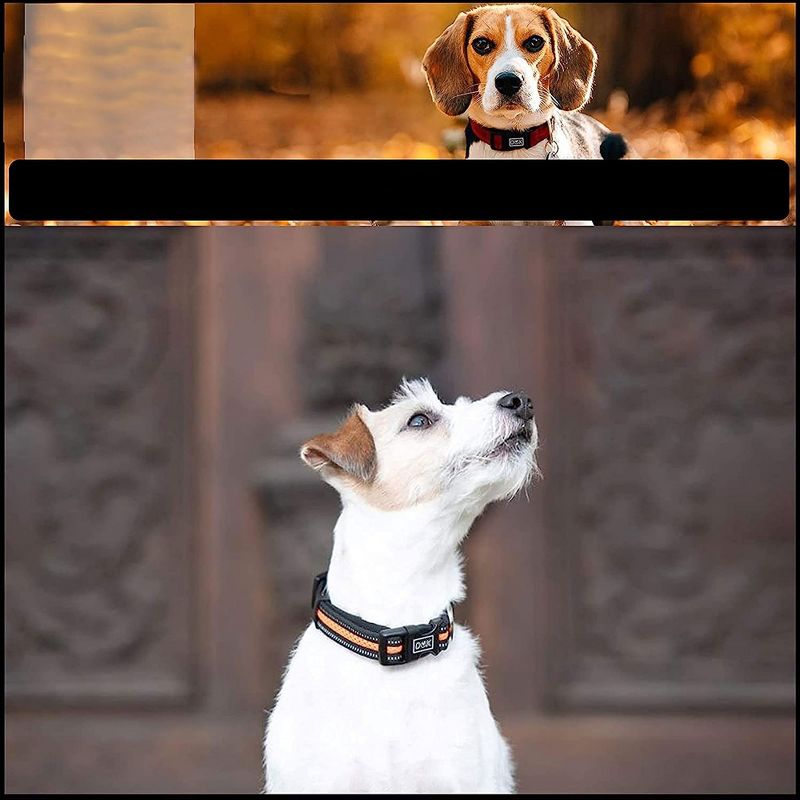 DDOXX Reflective Airmesh Dog Collar - Small - Green, 5 of 6