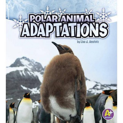 Polar Animal Adaptations - (Amazing Animal Adaptations) by  Lisa J Amstutz (Paperback)