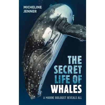 The Secret Life of Whales - by  Micheline Jenner (Paperback)