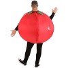 HalloweenCostumes.com One Size Fits Most   Inflatable Tomato Adult Costume, Red/Green - 3 of 4