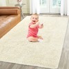 Area Rug Soft Fluffy Shage Area Rug for Living Room Black Shaggy Carpet Faux Fur Washable Rugs - 2 of 4