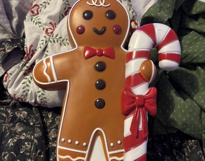 Guest review image 1 of 1, zoom in