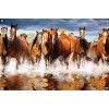 Trends International Horses Unframed Wall Poster Prints - 4 of 4