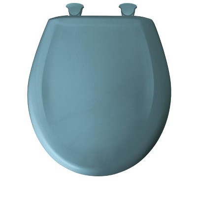blue toilet lid