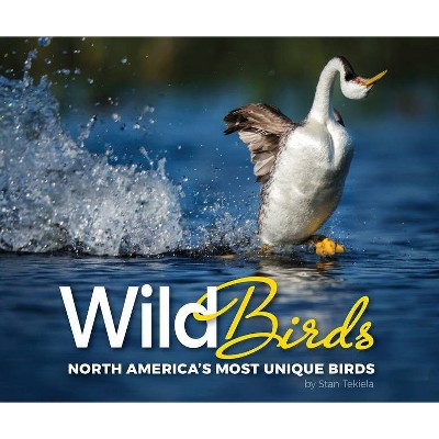 Wild Birds - (Wildlife Appreciation) by  Stan Tekiela (Paperback)