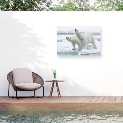 Trademark Fine Art - Joan Gil Raga Polar Bears, Mother And Son Matted Framed Art