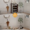 Modern Shoe Storage Cabinet, Elegant Decor Mirrored Cabinet with Silver Edging,Mirrored Cabinet with Double Door Storage,  For Entryway Hallway - 4 of 4