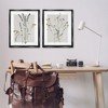 Stupell Industries Delicate Wildflower Herb Sprigs 2pc Floating Frame Art Set - 2 of 4