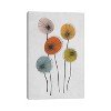 iCanvas Colored Poppies by Angel Estevez Canvas Print Wall Art - 2 of 3