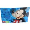 Monogram International Inc. Disney Mickey Mouse Florida 3D Motion Picture Card Magnet - 2 of 3