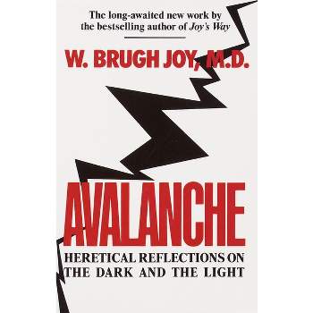 Avalanche - by  W Brugh Joy (Paperback)