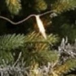 arctic velvet-lime green