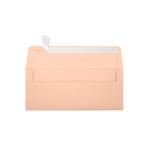 JAM Paper Self Seal Business Envelope 4 1/8 x 9 1/2 Blush Pink 250 Pack (4860-114-250) - 1 of 2