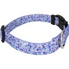 Country Brook Petz Deluxe Dog Collar - Abstract Collection - Made In The U.S.A. - 3 of 4
