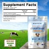 Bovine Colostrum 30% IgG Powder 6.34 OZ - 90 Servings (Unflavored) - 2 of 4