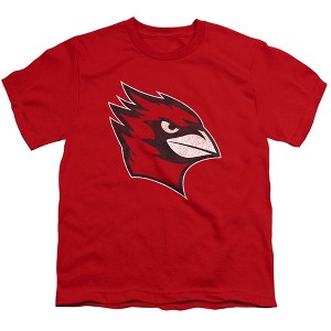 Wesleyan University Distressed Primary Kids T-Shirt For Youth Red - 1 of 4
