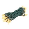 Novelty Lights M5 LED Christmas String Lights 50 Mini Bulbs (Green Wire, 25 Feet) - 4 of 4